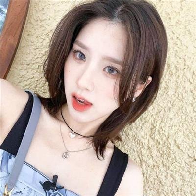 史前狂鲨